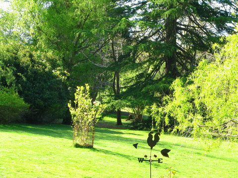 Red Rooster Host Farm - Darwin Holiday 2