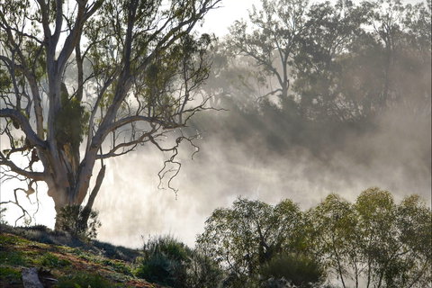 River Boat Road Cadell -River Shack Rentals - Darwin Holiday 1
