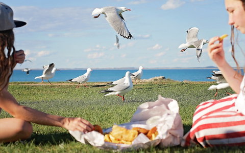 Seafarers Robe - Darwin Holiday 0