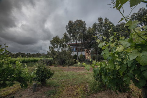 Sellicks Chills - Vineyard Retreats - Darwin Holiday 2