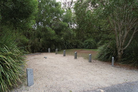 Springbrook National Park Camping - Darwin Holiday 0