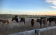 Tarnasey Farm - Pa's Place - thumb 1