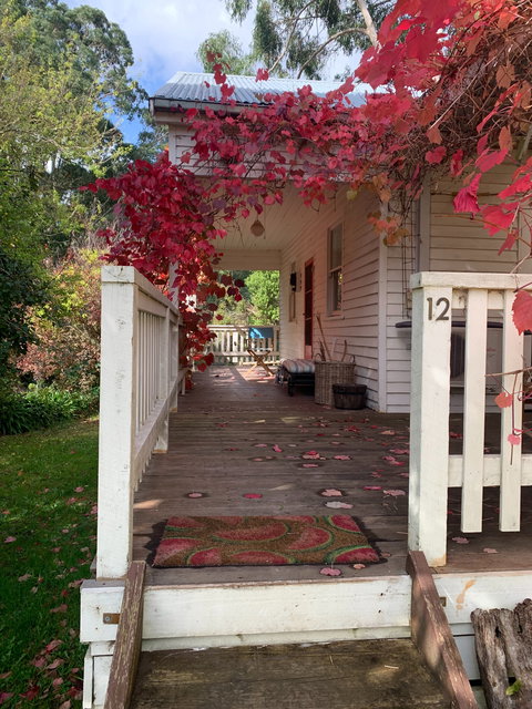 The Riders Palace Forrest - Darwin Holiday 0