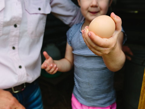 Tommerups Dairy Farmstay - Darwin Holiday 1