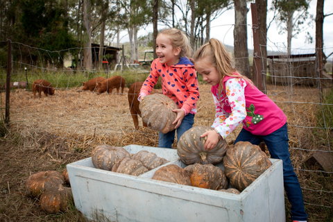 Tommerups Dairy Farmstay - Darwin Holiday 2