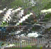 Winnamatta Guest House - Darwin Holiday