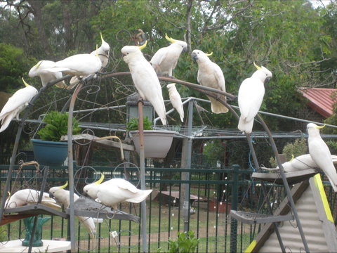 Winnamatta Guest House - Darwin Holiday 0