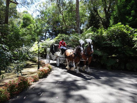 Whistle Stopover - Darwin Holiday 8