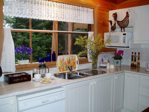 Whistle Stopover - Darwin Holiday 10