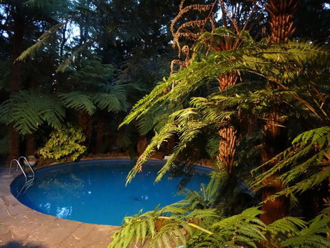 Whistle Stopover - Darwin Holiday 11