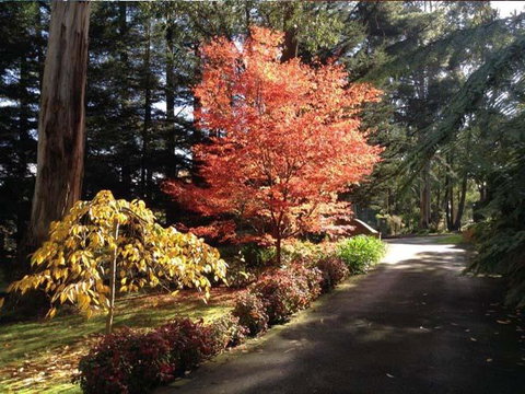 Whistle Stopover - Darwin Holiday 12