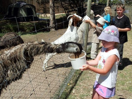 Bairnsdale Holiday Park - Darwin Holiday 2