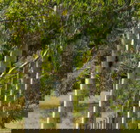 Stringybark Cottages - Darwin Holiday