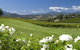 Balgownie Estate Vineyard Resort And Spa - thumb 0