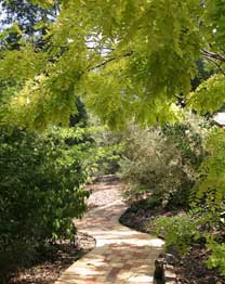 Eagle Hammer Cottages - Darwin Holiday 0