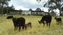 Bumblebrook Farm Motel - Darwin Holiday 1