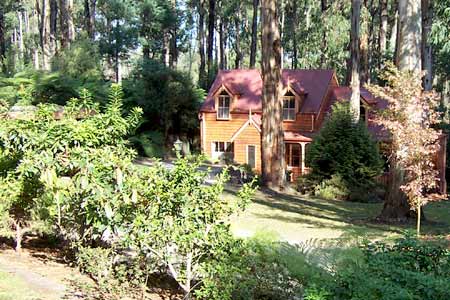 Whistle Stopover - Darwin Holiday 1