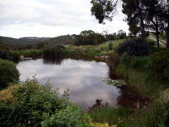 Carolins Organic Farm - Darwin Holiday 1