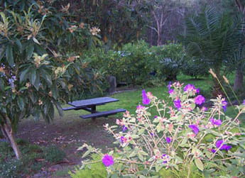 Sunway Farm B And B And Tours - Darwin Holiday 2