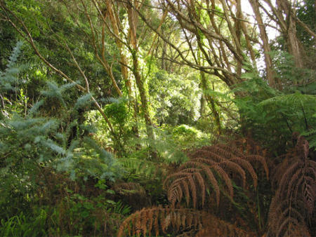 Deja Vu Lakes Entrance B And B - Darwin Holiday 2