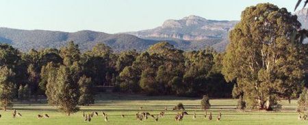 Wartook Gardens - Darwin Holiday 1