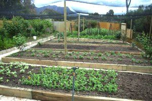 Wartook Gardens - Darwin Holiday 3