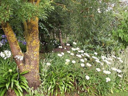 Shady Creek VIC Darwin Holiday