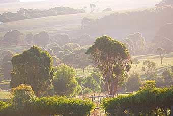 Mackas Farm - Darwin Holiday 0