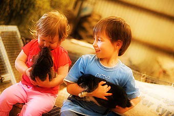 Mackas Farm - Darwin Holiday 1