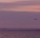 Pelican Sands Bed and Breakfast