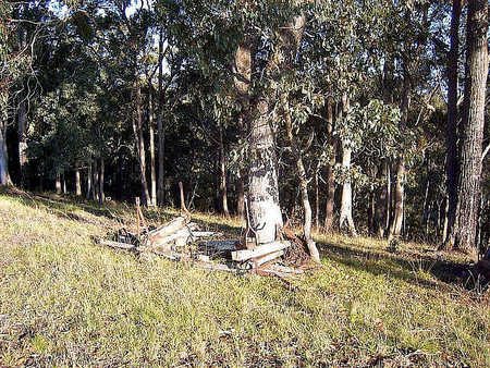 Snowy River Homestead Bed And Breakfast - Darwin Holiday 3