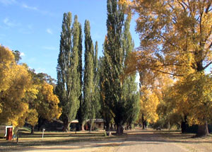 Omeo Caravan Park - Darwin Holiday 0