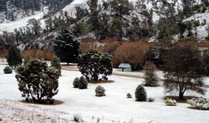 Omeo Caravan Park - Darwin Holiday 1