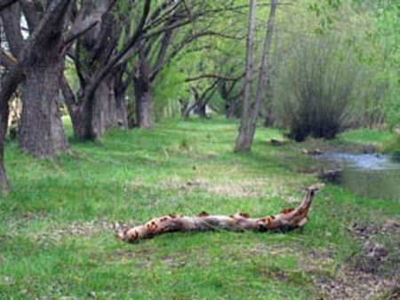 Omeo Caravan Park - Darwin Holiday 3