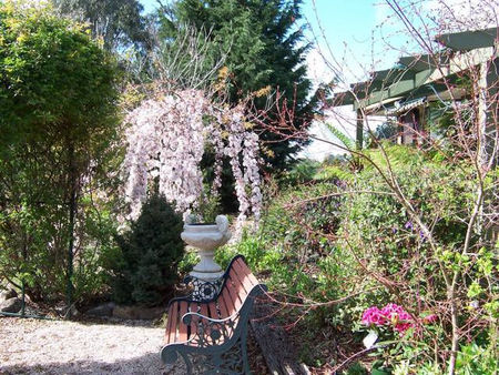 Myamba House - Darwin Holiday 0