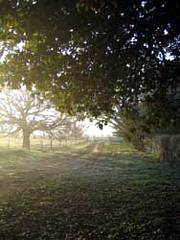 Corinella Country House - Darwin Holiday 4