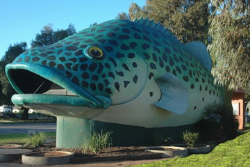 Swan Hill Holiday Park - Darwin Holiday 4