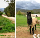 Emerald Park Holiday Farm - Darwin Holiday