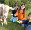 Johanna River Farm and Cottages - Darwin Holiday