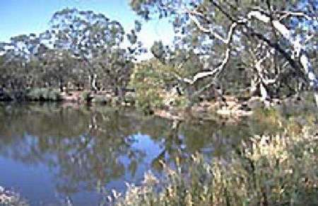 Riverside Host Farm - Darwin Holiday 1