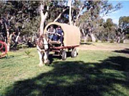 Riverside Host Farm - Darwin Holiday 3