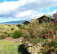 Black Cockatoo Cottages