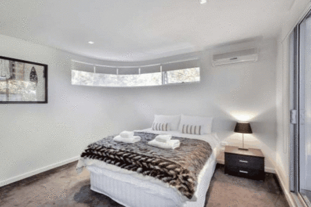 Espresso Elwood - thumb 3