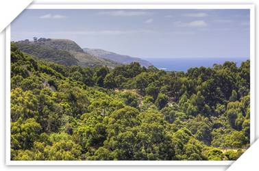 Chris's Beacon Point Restaurant And Villas - Darwin Holiday 3