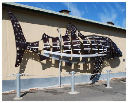 Apollo Bay Recreation Reserve Caravan And Camp Park - Darwin Holiday 1