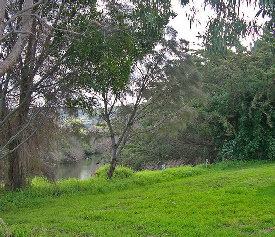 Apollo Bay Recreation Reserve Caravan And Camp Park - Darwin Holiday 3