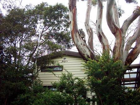 Beach Park Tourist Caravan Park - Darwin Holiday 3