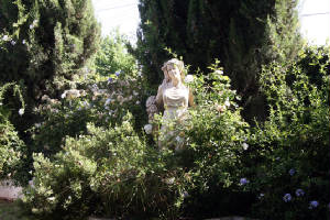 Green Patch Accommodation - Darwin Holiday 1