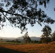 Cann River Rainforest Caravan Park - Darwin Holiday