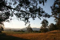 Cann River Rainforest Caravan Park - Darwin Holiday 0